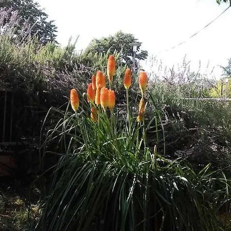 Enzo With Air-condition And Wi-fi Apartament Zadar